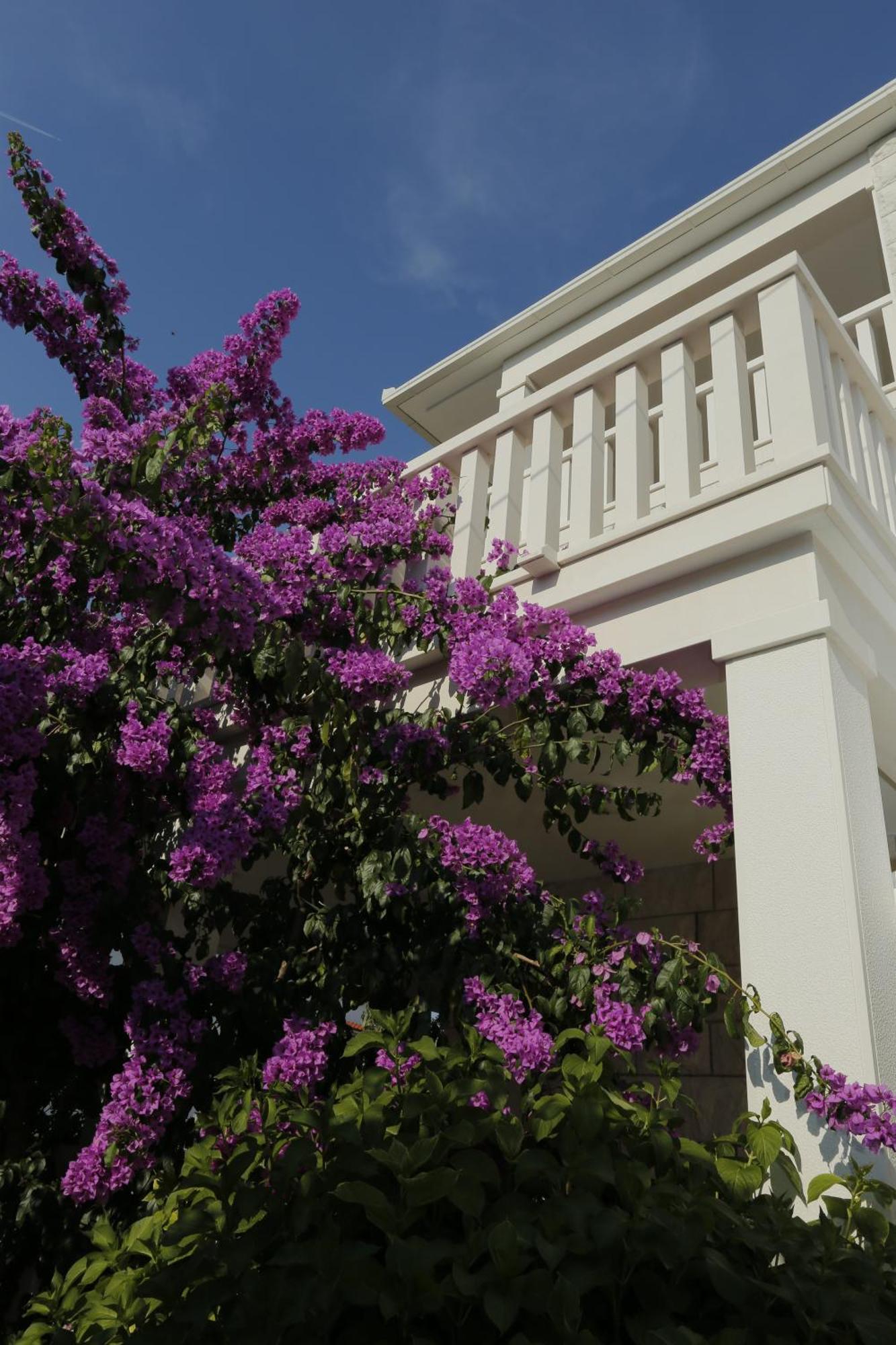 Apartments Marino سوبيتار المظهر الخارجي الصورة
